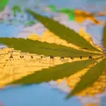 A State-by-State Guide to Cannabis in Australia